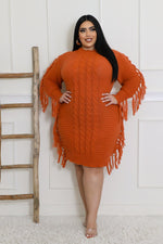 Coziest Plus Size Dress