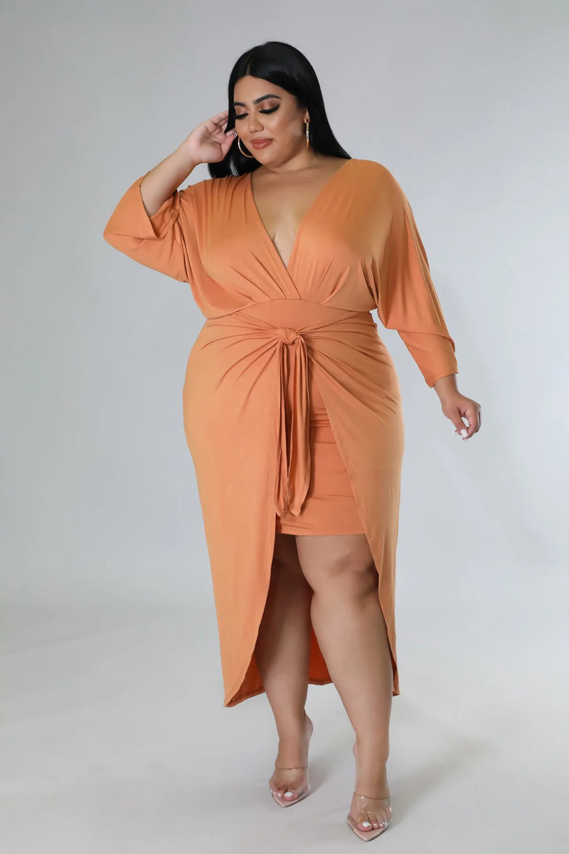 Dream Team Plus Size Dress